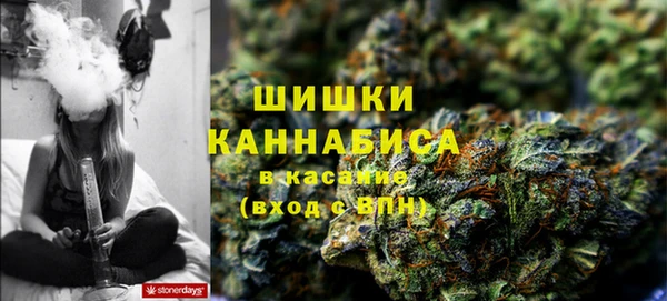 сатива Богородск