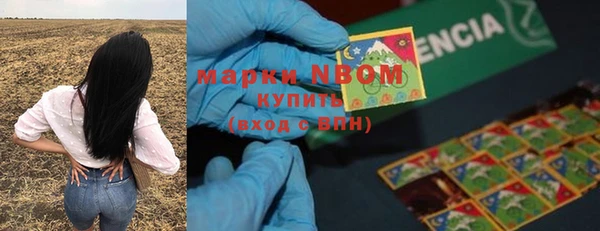 стаф Богородицк